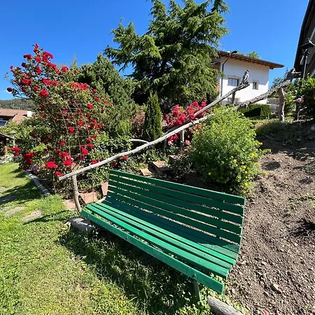 Burghof Aparthotel Siusi